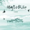 烟雨怎会飘漠北 (DJ锋仔版) - 王若熙