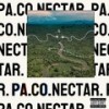 Nectar (Explicit) - Denz'El Arte&Black Money&4lphabeto