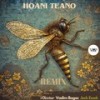 Banggai (Jack Essek Remix) - Hoani Teano&CamelVIP&Jack Essek