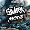 shake something - Paco Montana