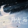 月光海（广播剧《折月亮》片尾曲）伴奏 (伴奏) - 月灵纷飞&青龙捕快