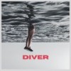 Florida - Diver