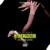 Ntshengedzeni (feat. Da lova) - Zwido Nems&Da Lova