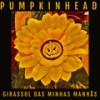 Girassol das minhas manhãs - Pumpkinhead&Cláudio Kamimura