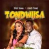 Tondwiisa (feat. Spice Diana) - Chris Evans Kaweesi&Spice Diana