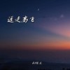 远走高飞 (降调版) - DJ何友