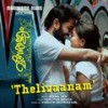 Thelivaanam (From 