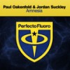 Amnesia (Extended Mix) - Paul Oakenfold&Jordan Suckley