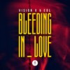 Bleeding In Love - Vision X&Edl