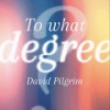 To What Degree - DAVID PILGRIM&Maritri