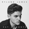 Say Goodbye (Acoustic Version) - Ryland James