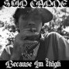 Because Im 2high (Explicit) - Slip Capone&Dj2high