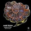 Waves of Time - Amir Telem