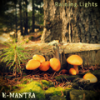 Starlights (Original Mix) - E-Mantra