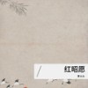 红昭愿（恐有街头胭脂色） (伴奏) - 李火火