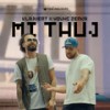 Mi Thuj - Klajvert&Young Zerka