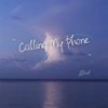 Calling My Phone (DJ版) - Dirk