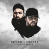 Freeze (Interlude / Instrumental) - Ceydo & Freeze